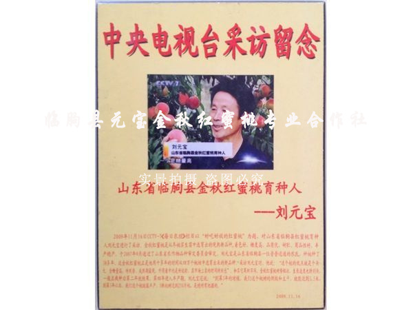 电视台采访留念