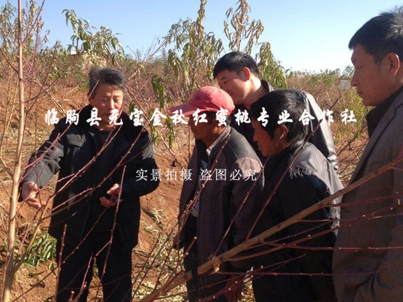 2014年云南大理冬季技术服务跟踪服务