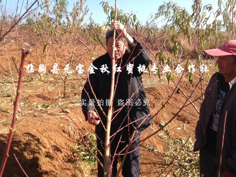 2014年云南大理冬季技术服务跟踪服务