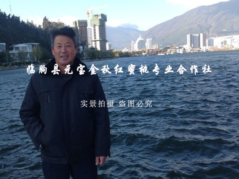 2014年云南大理冬季技术服务跟踪服务