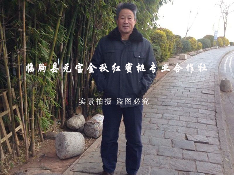 2014年云南大理冬季技术服务跟踪服务