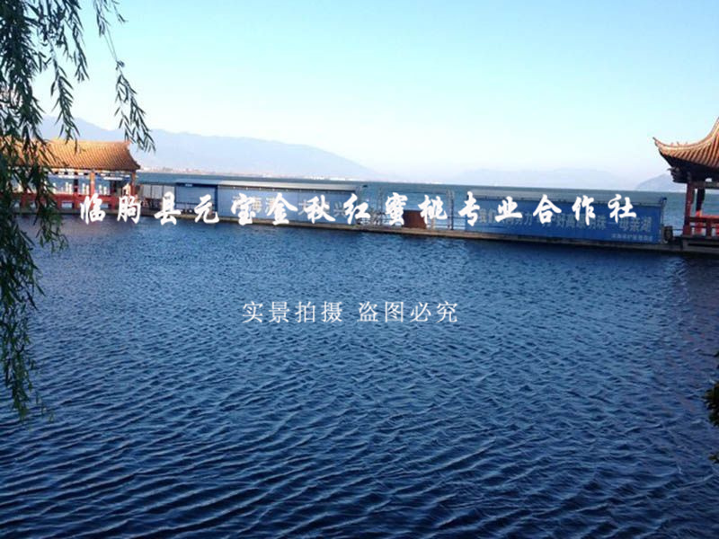 2014年云南大理冬季技术服务跟踪服务