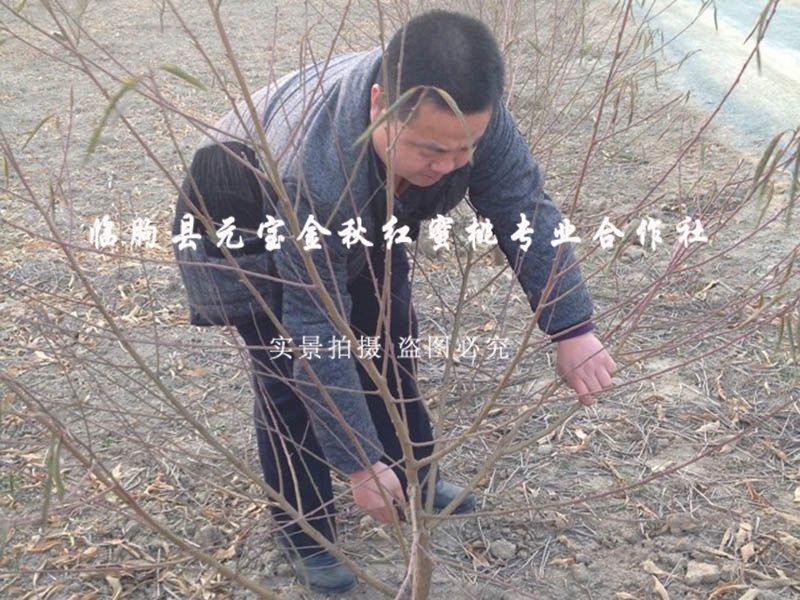 2014年西安冬季技术跟踪服务