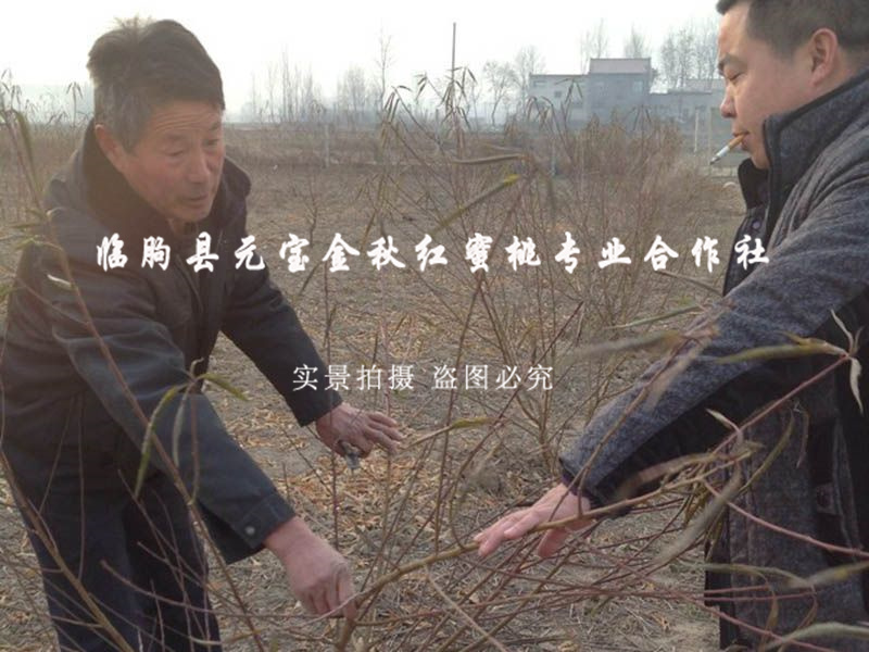 2014年西安冬季技术跟踪服务