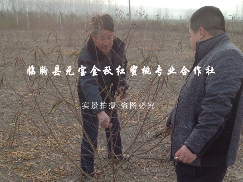 2014年西安冬季技术跟踪服务