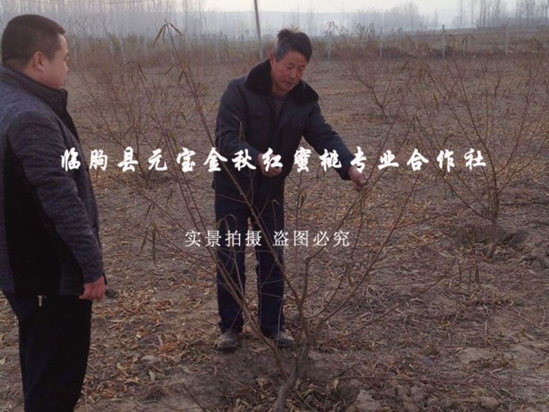 2014年西安冬季技术跟踪服务