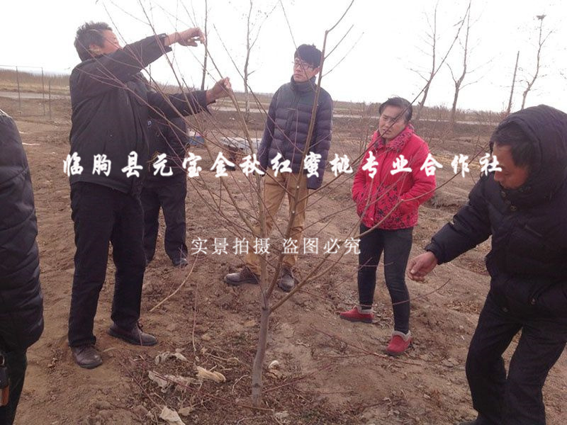 2014年青岛冬季技术跟踪服务