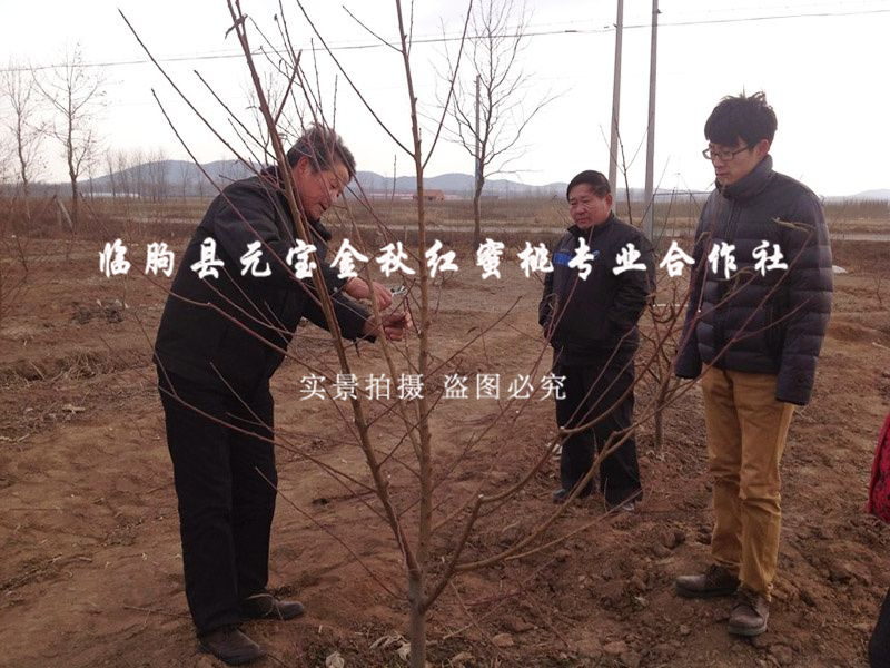 2014年青岛冬季技术跟踪服务