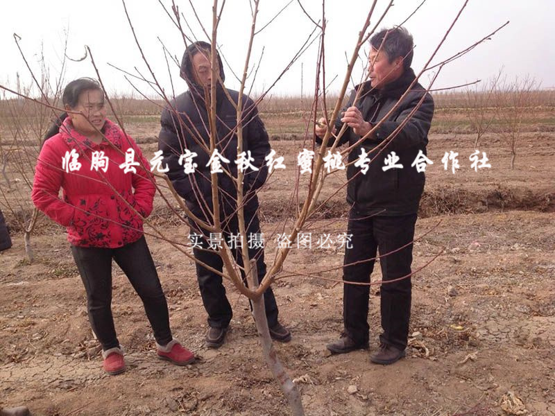2014年青岛冬季技术跟踪服务