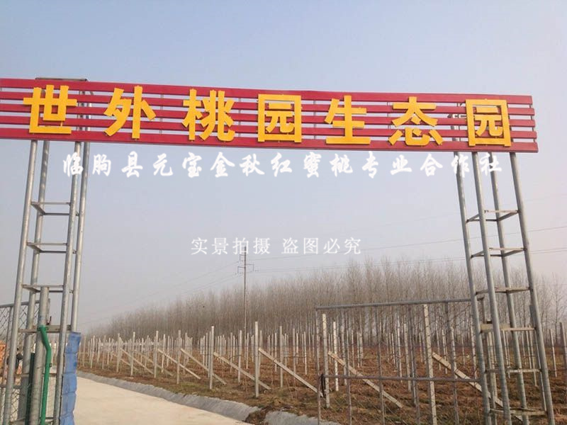 2014年江苏淮安冬季技术跟踪服务