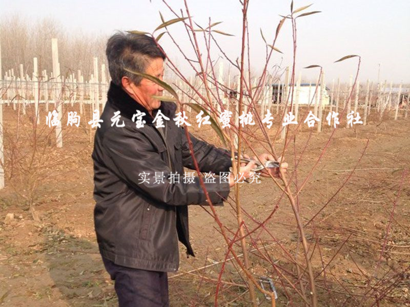 2014年江苏淮安冬季技术跟踪服务