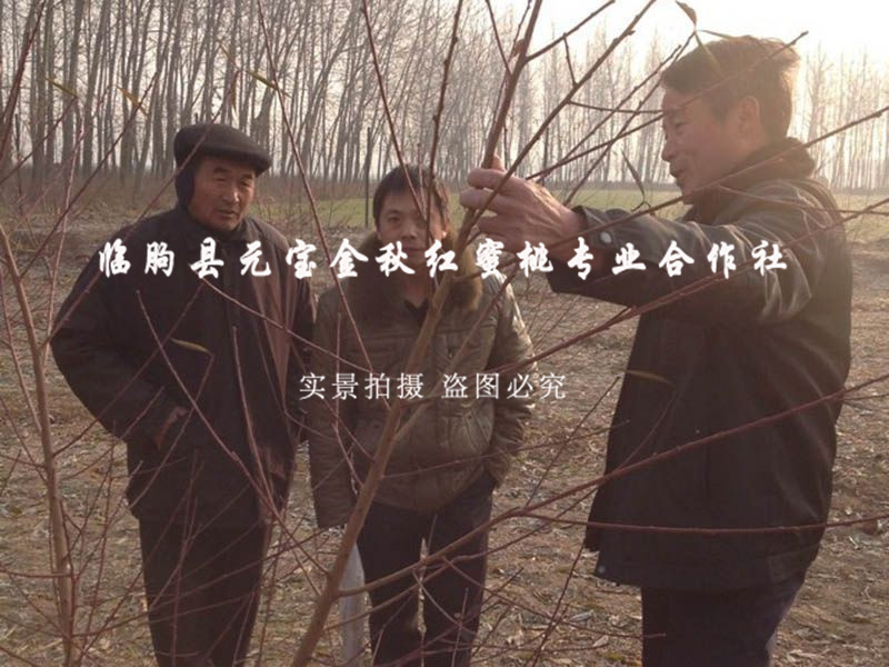 2014年江苏淮安冬季技术跟踪服务