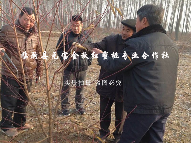 2014年江苏淮安冬季技术跟踪服务