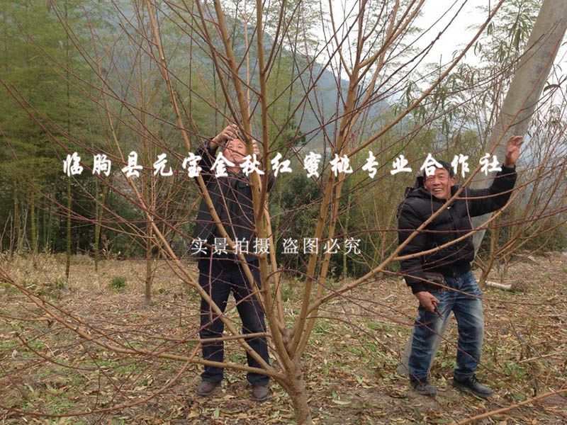 2014年冬季浙江丽水技术跟踪服务