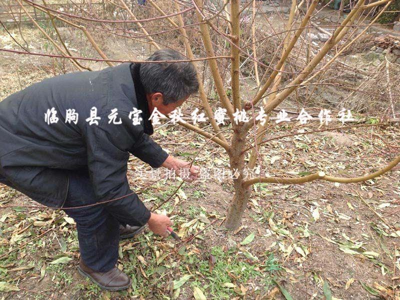 2014年冬季浙江丽水技术跟踪服务