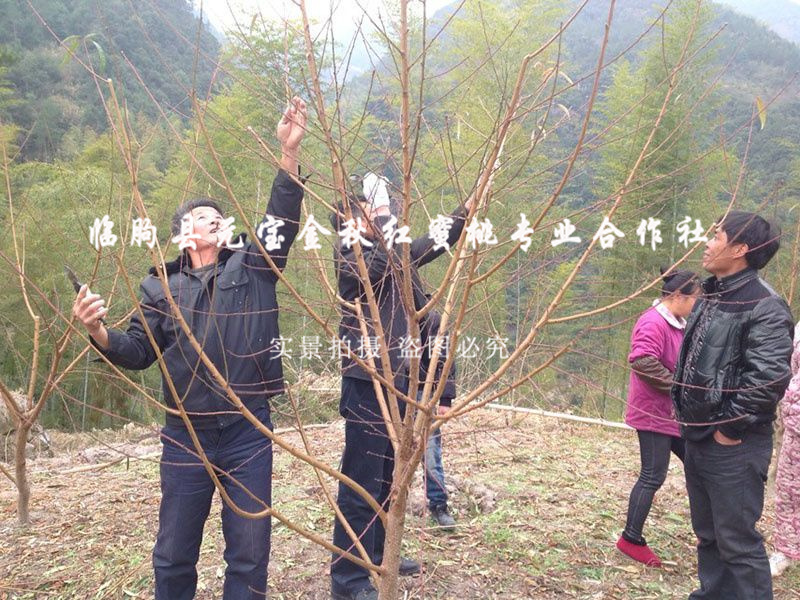 2014年冬季浙江丽水技术跟踪服务