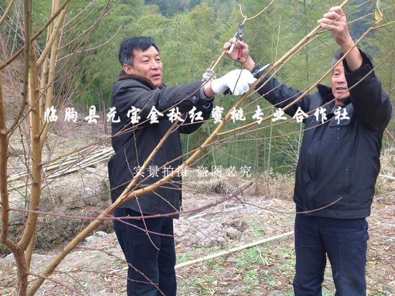 2014年冬季浙江丽水技术跟踪服务