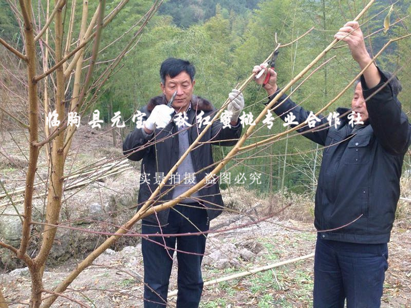 2014年冬季浙江丽水技术跟踪服务