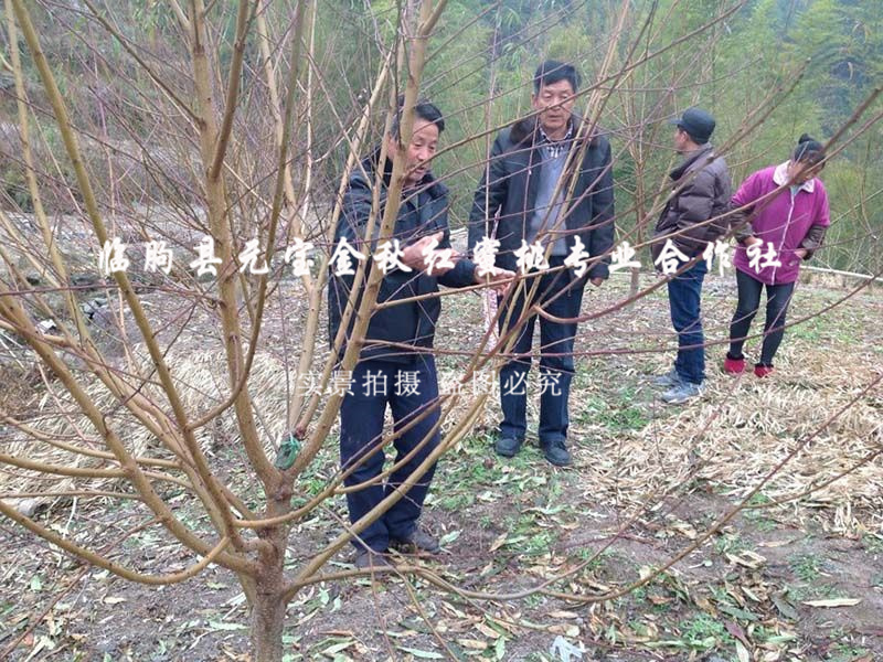 2014年冬季浙江丽水技术跟踪服务