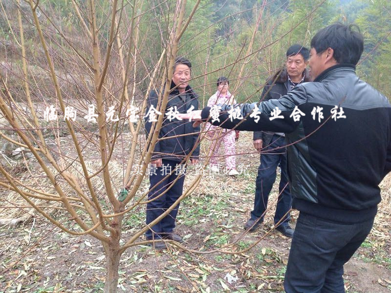 2014年冬季浙江丽水技术跟踪服务
