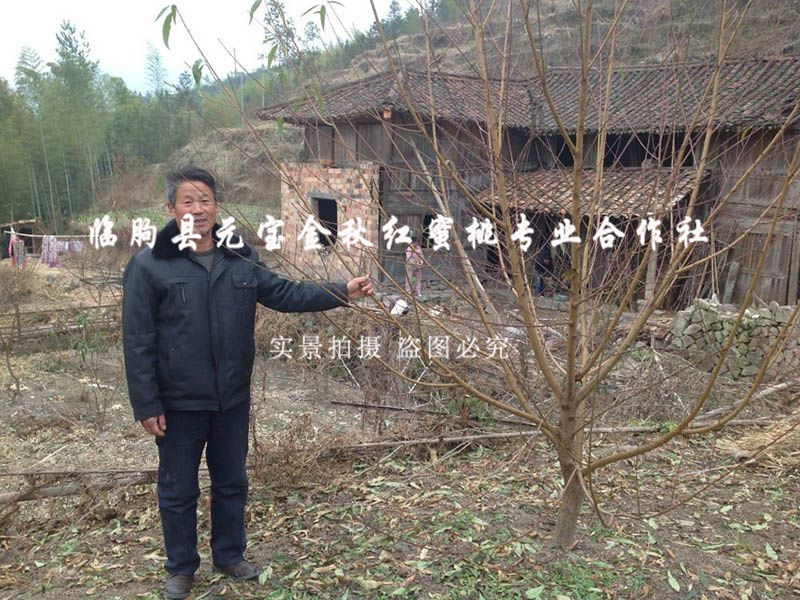 2014年冬季浙江丽水技术跟踪服务