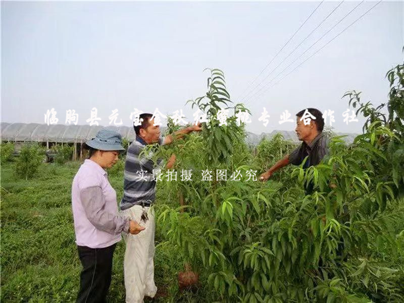 2014年浙江台州技术指导