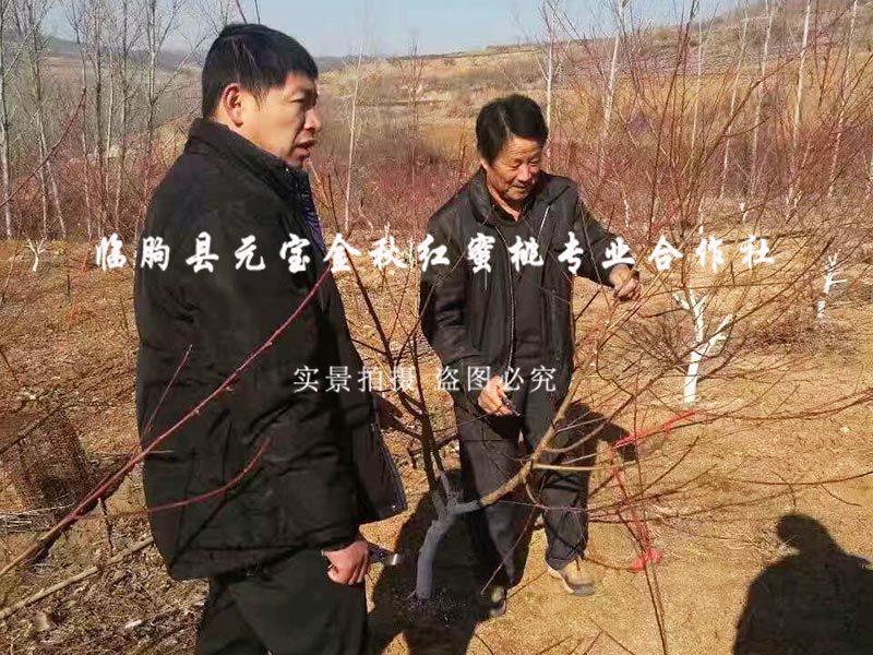 2015年冬季昌乐技术指导