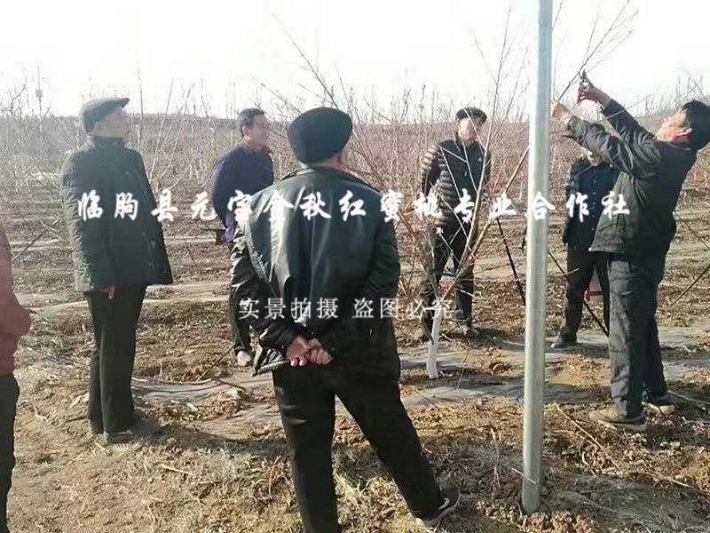 2015年冬季昌乐技术指导