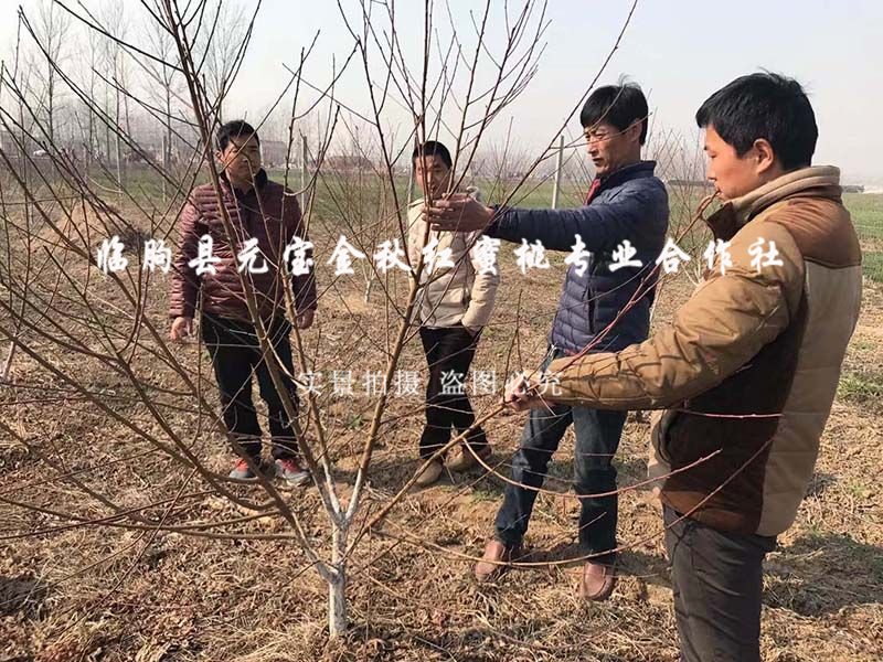2015年冬季菏泽技术指导