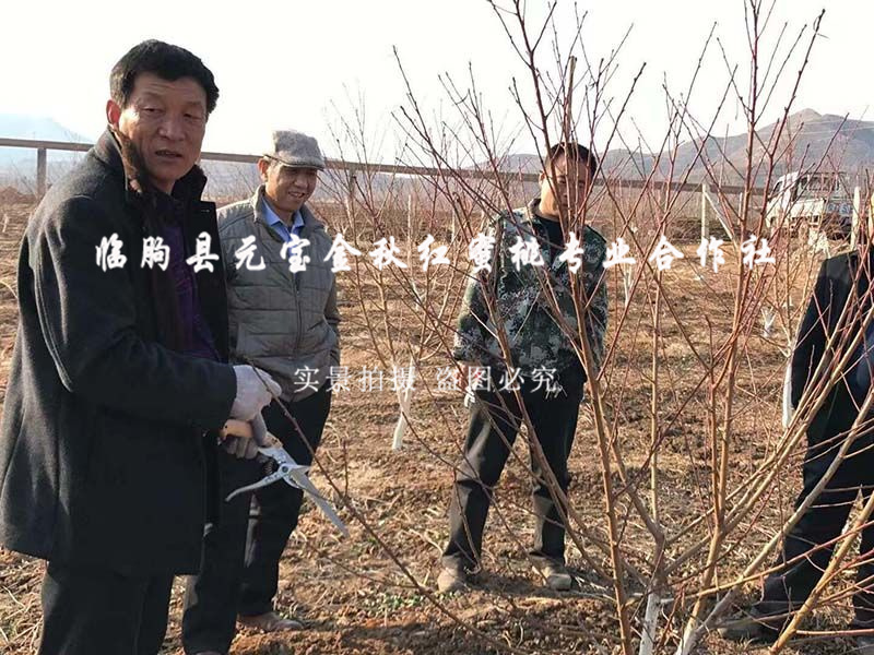 2015年冬季潍坊技术指导