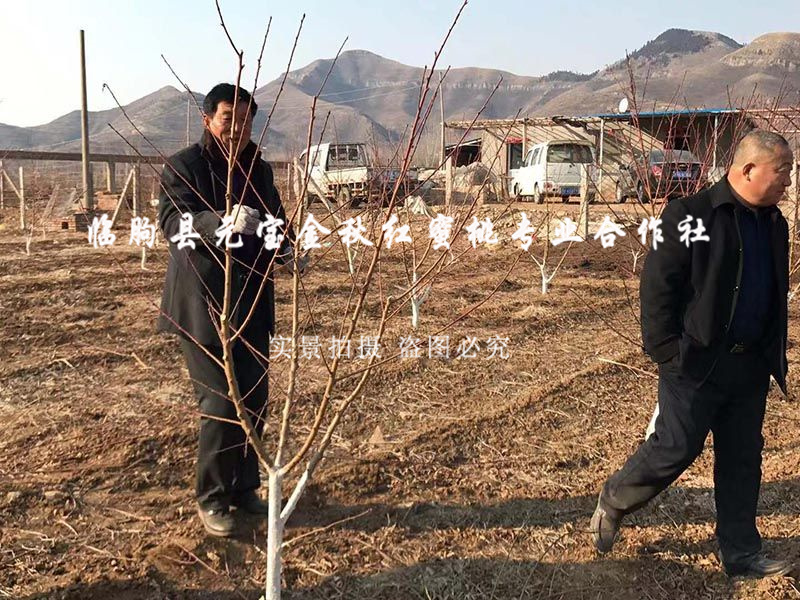 2015年冬季潍坊技术指导