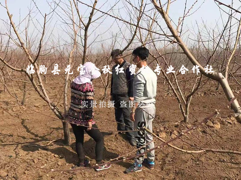 2016年春季淄博技术指导