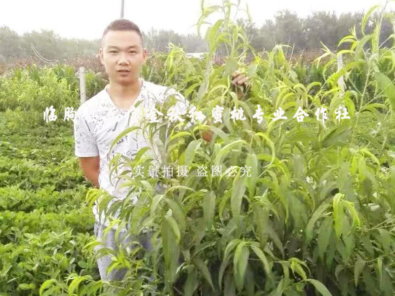 2016年夏季河南商丘技术指导