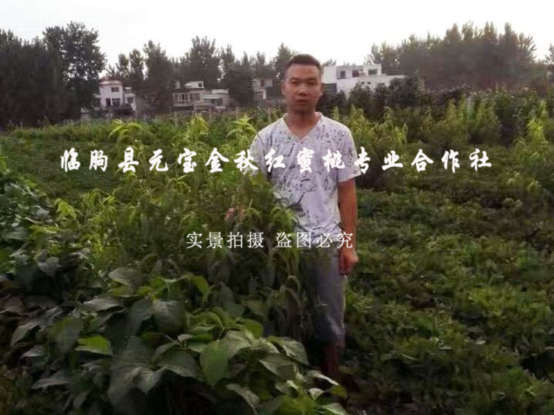 微信图片_20190924080014.jpg